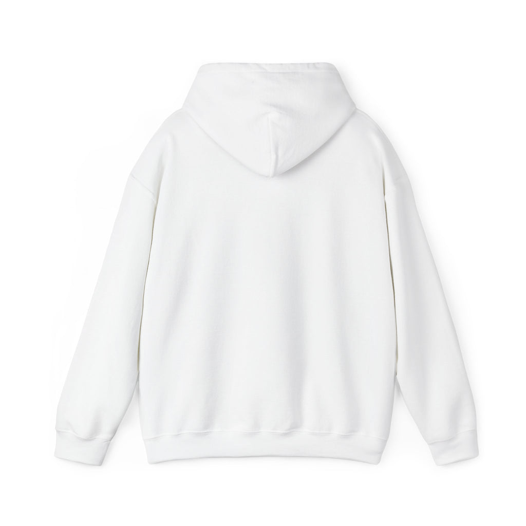 Rainbow Hoodie - Chase Rainbows Sweatshirt