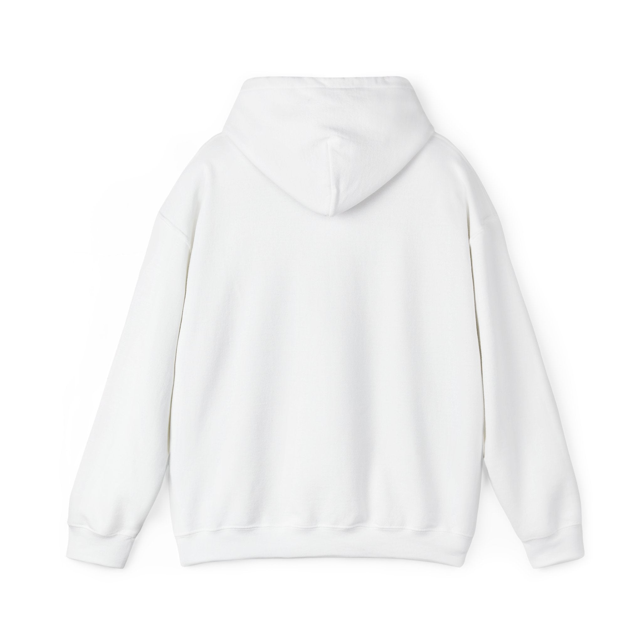 Rainbow Hoodie - Chase Rainbows Sweatshirt