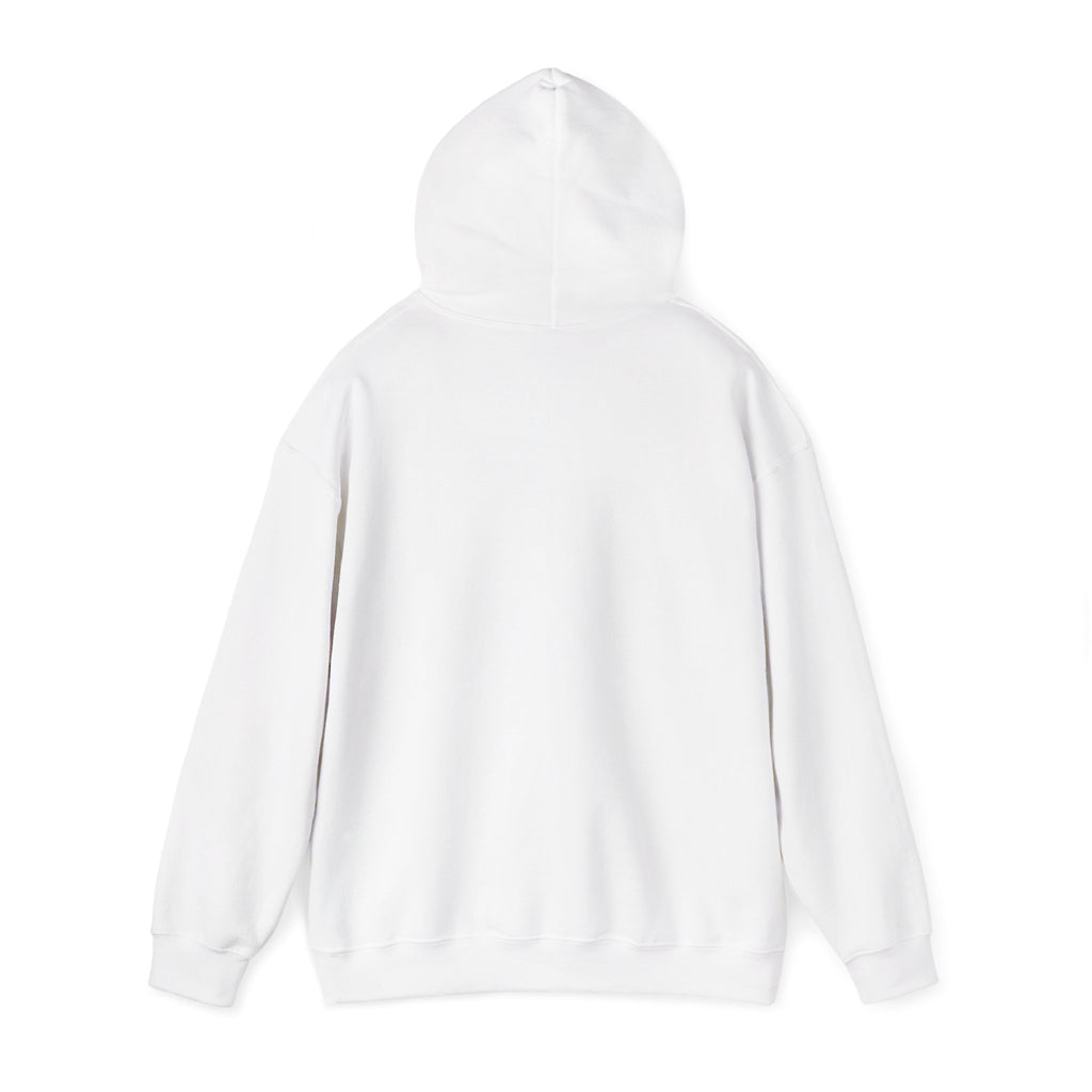 Rainbow Hoodie - Chase Rainbows Sweatshirt