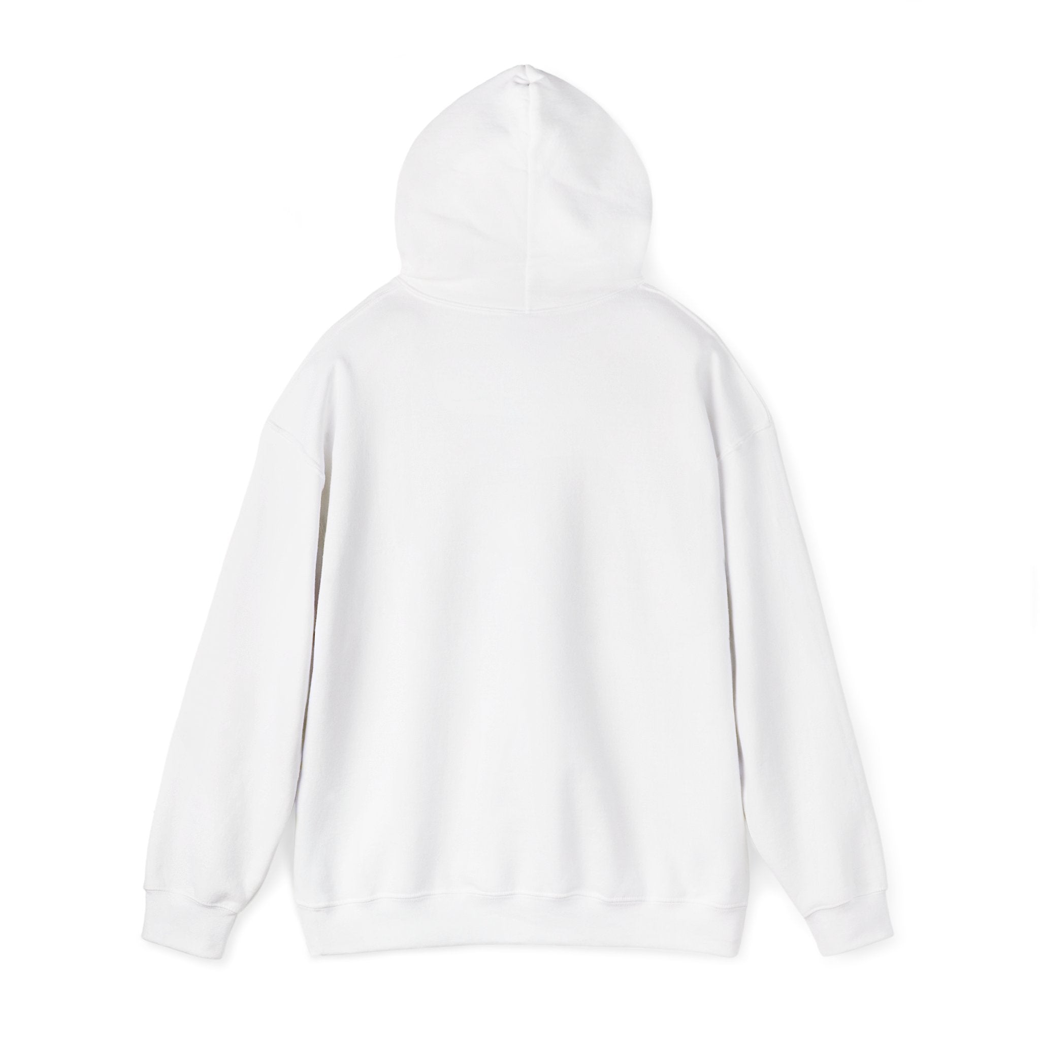 Rainbow Hoodie - Chase Rainbows Sweatshirt